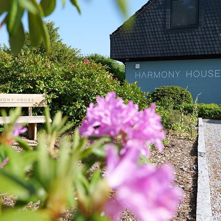 Harmony House Hotell Handewitt Exteriör bild